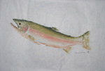 Gyotaku the Japanese art of fish printing